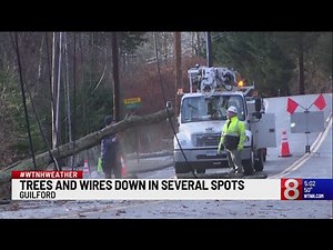 Trees, wires down in several spots in Connecticut