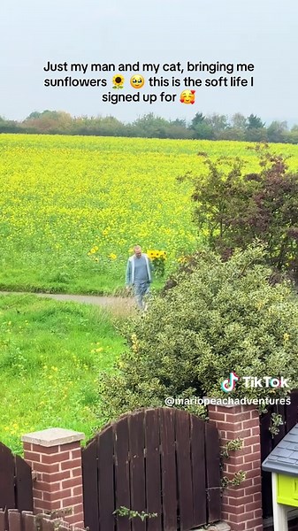 Embrace the Soft Life with Sunflowers and Cats