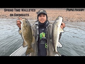 Spring Walleye Fishing with Swimbaits