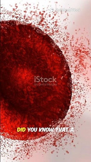 Everything You Need to Know About Iron!