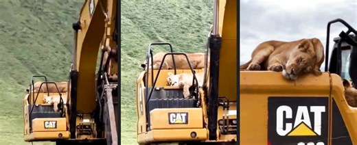 CAT Bagger macht Namen alle Ehre