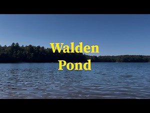 Day Trip to Walden Pond | Nature, History & Hidden Trails