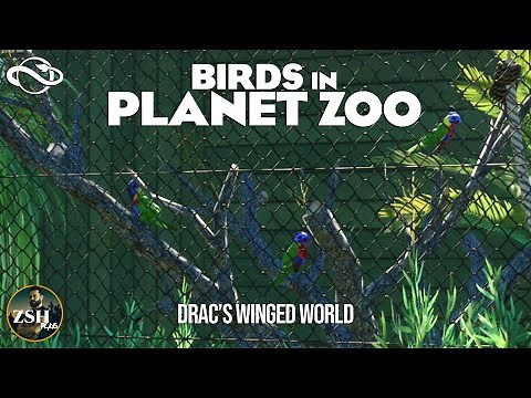 Birds In Planet Zoo! ¦ Drac's Winged World ¦ Planet Zoo Birds