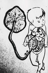 The Alphabet (1975) - Movie