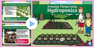 KS1 Growing Things Using Hydroponics PowerPoint