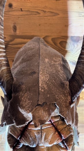 Exploring the Legend of Krampus: Myth and Tradition