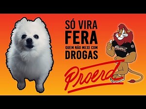 PROERD em CACHORRÊS