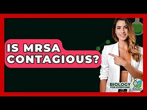 Is MRSA Contagious? - Biology For Everyone