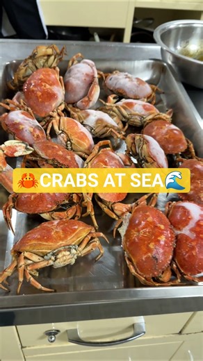 Crab Catching at Sea 🦀🚢 #shorts #shortsfeed #merchantnavy #pravasea