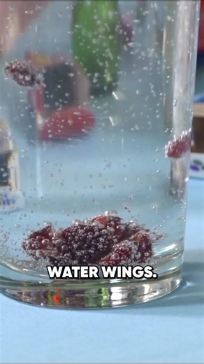 12K views · 82 reactions | Legitimately Unbelievable Dancing Raisins | Steve Spangler | Facebook