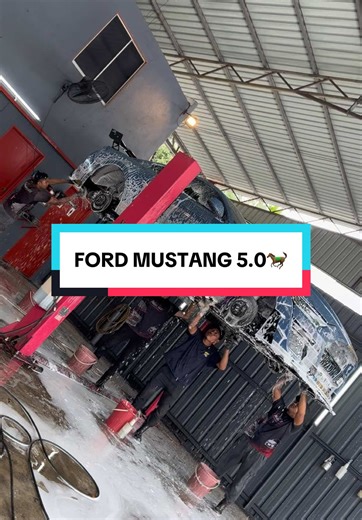 Ford Mustang 5.0 Restoration and Undercarriage Protection