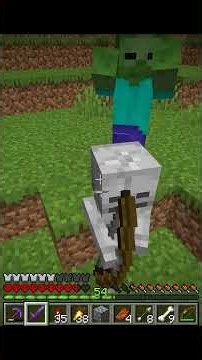 Mysterious 0 Durability Items of Minecraft #shorts #minecraftshorts