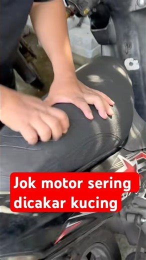 Do cats often scratch your motorcycle seat? Here's a claw-proof seat cover.