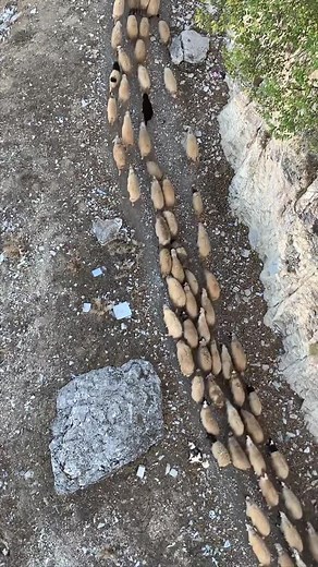 509K views · 10K reactions | The beauty of nature from Jabal Al-Arbaeen in Northern Lebanon By Ihab Al Aawar #Travel #Destination #MyLebanon #AmazingLebanon #LiveLoveLebanon #DiscoverLebanon #ExploreLebanon #ProudLebanese #LebaneseAmericans #Lebanon #Lebanese #AmericansLebanese | Lebanese Americans | Facebook