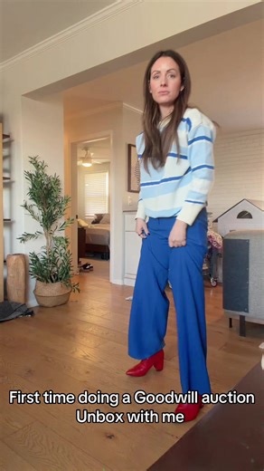 First Time Goodwill Auction Unboxing Experience