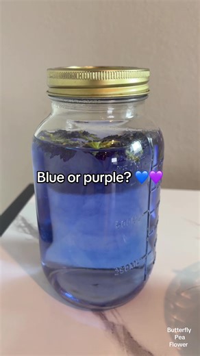 This flower turns water blue… and that’s only the beginning 👀#butterflypeaflower