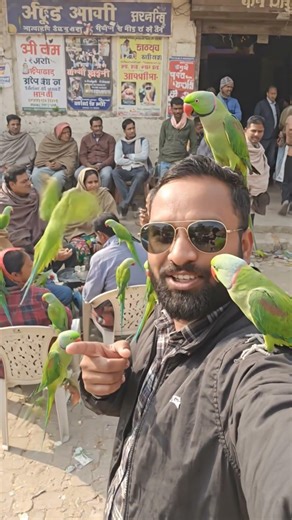 दोस्तों मैं जहां भी जाता हूं तोते मेरे पीछे नहीं छोड़ते🦜🦜🦜🦜