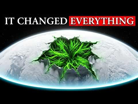 The Thumbtack-Sized Weed That Froze The World