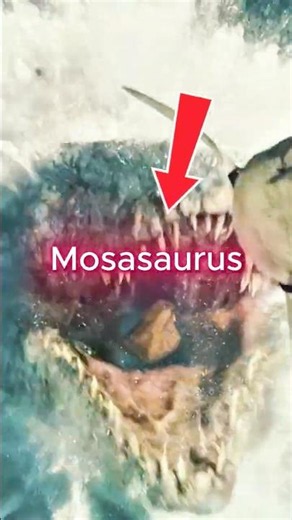 How Did The Mosasaurus Survive in the Lagoon for 6 Months?