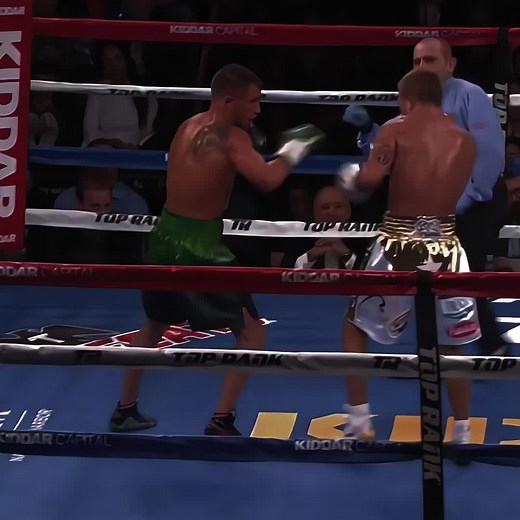 Art of Boxing: Lomachenko Highlights and Edits