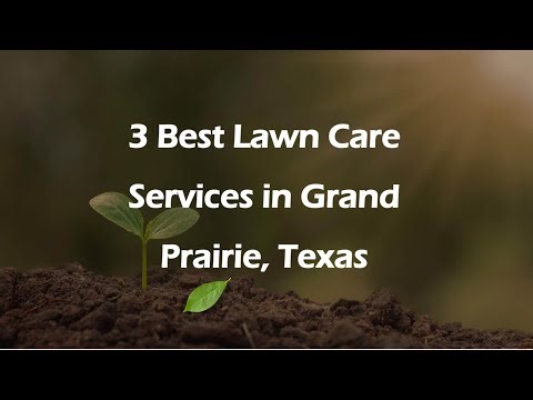 3 Best Lawn Care Services in Grand Prairie, Texas | Lawn Maintenance Services