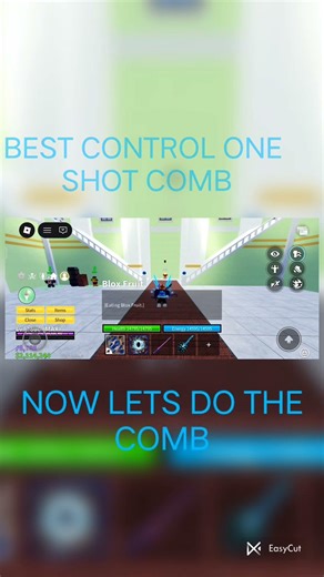 CONTROL ONE SHOT COMBO | BLOX FRUIT | PLS LIKE AND SUBSCRIBE