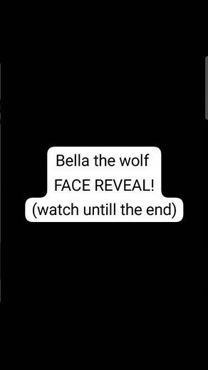 bella the wolf face reveal! Must watch!