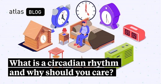 what-is-a-circadian-rhythm