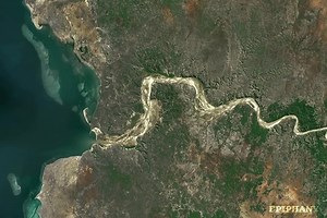 Deforestation Explained: Causes, Carbon Impact & Biodiversity Loss