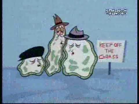 Powerpuff Girls: Keep Off the Grass (with the Amoeba Boys)