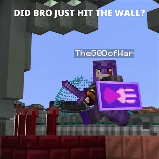 Did bro just hit the wall | Unstable SMP |