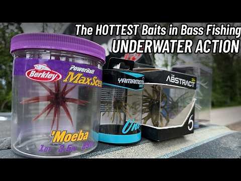 URCHIN BAITS Underwater Footage | Comparing FIVE New Urchin Baits