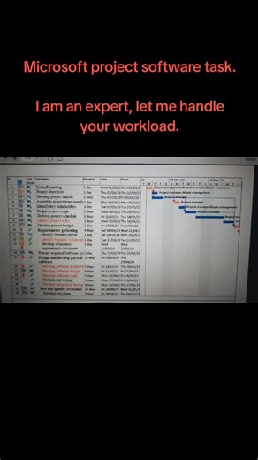 @writer_leonie on Instagram: "I am an expert in Microsoft Project software. Message me for help with project management tasks."