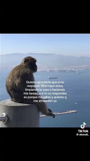 @Martinaaap09 ‪@Anjuliet-n2i‬ ‪@daniatpz‬ 🥺💗