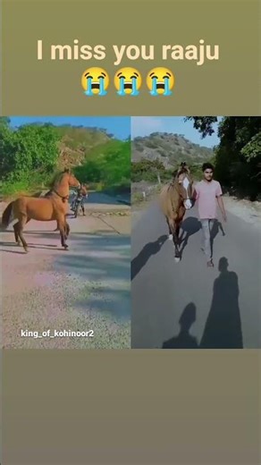 Bhagwan #hamare#raju#ki Aatma ko santi dena #i miss you raaju 😭😭😭