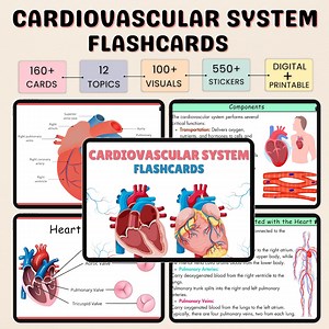 160  Cardiovascular System Flashcards | Cardiac Nursing | Nursing Notes | Cardiovascular Notes | Cardiology Nurse | Study Guide - Etsy