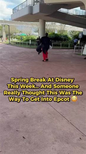 Spring Break at Disney this week… and things got a little wild 👀 A man attempted to enter EPCOT on March 15 dressed as Mickey Mouse , and yes, he was refused entry at the gate. Disney has strict costume policies in place for guests, especially when it comes to adults dressing as iconic characters, to avoid confusion and keep the experience safe for everyone in the park. Still… you’ve gotta admit, this might be one of the most unexpected Spring Break moments at Disney this week 😅🎭 #EPCOT #Walt