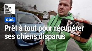 647K views · 8.2K reactions | Voilà dix jours que Thaïs et Tyna, deux...