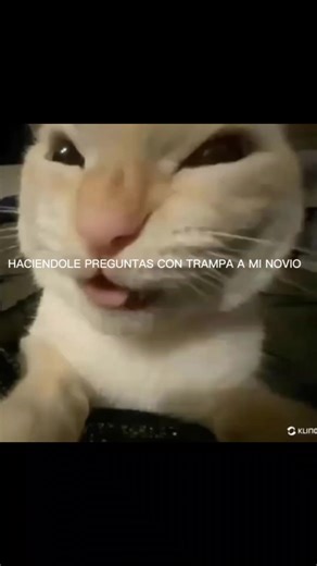 Preguntas trampa para mi novio: ¡Diviértete!