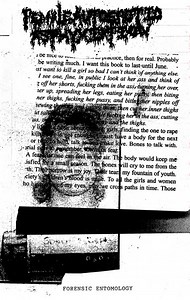 Female Autoerotic Asphyxiation - Forensic Entomology