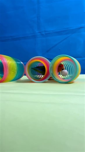 Bird Training : Smart lovebird Parrot | Smart Little Cute Parrot #training #smartparrot #cute | Smart Parrots