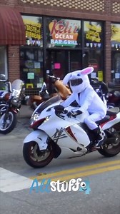 Bunny Motorcycle Helmet | Daytona Bike Week | Motorcycle World
