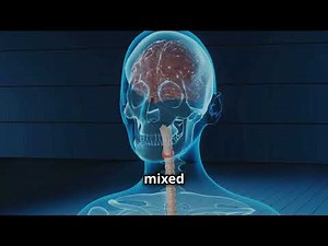 Understanding the Human Digestive System: A Comprehensive Guide