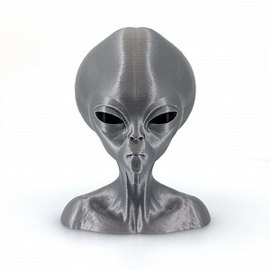 Roswell Grey Alien Bust From Zeta Reticuli - 3D Printed Sci-fi Extraterrestrial Head, UFO Decor, Unique Collectible for Enthusiasts - Etsy