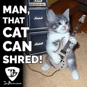 https://JBonamassa.com | Joe Bonamassa