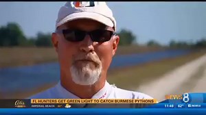 10K views · 77 reactions | 25 of Florida's top hunters have been tasked with eradicating as many Burmese pythons as possible. | CBS 8 San Diego | Facebook