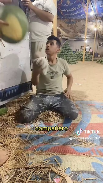 Cómo descargar sandías fácilmente