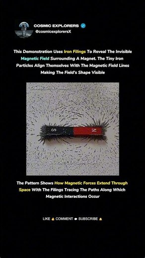 What a Magnetic Field Actually Looks Like