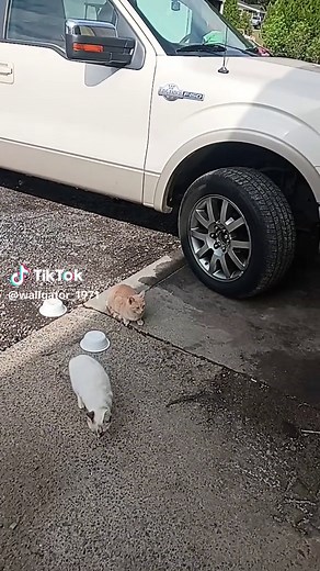 7441628525439847726