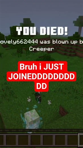 You opened minecraft after a stressful day and thsi happen